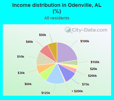Income distribution in Odenville, AL (%)