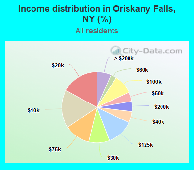 Income distribution in Oriskany Falls, NY (%)