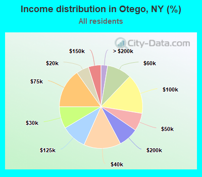 Income distribution in Otego, NY (%)