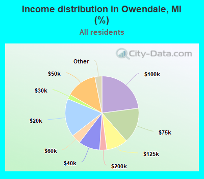 Income distribution in Owendale, MI (%)