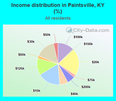 Income distribution in Paintsville, KY (%)