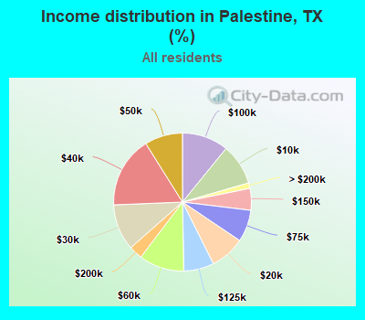 Income distribution in Palestine, TX (%)
