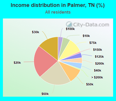 Income distribution in Palmer, TN (%)