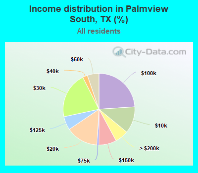 Income distribution in Palmview South, TX (%)