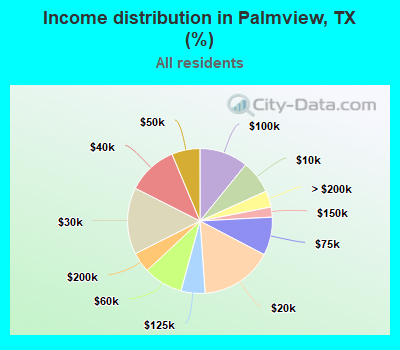 Income distribution in Palmview, TX (%)