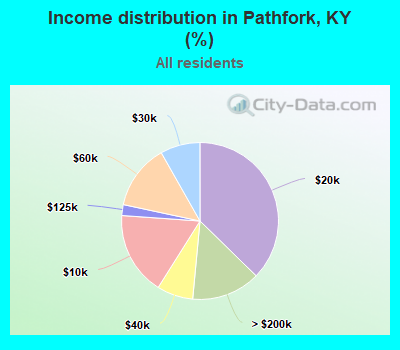 Income distribution in Pathfork, KY (%)