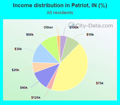 Income distribution in Patriot, IN (%)
