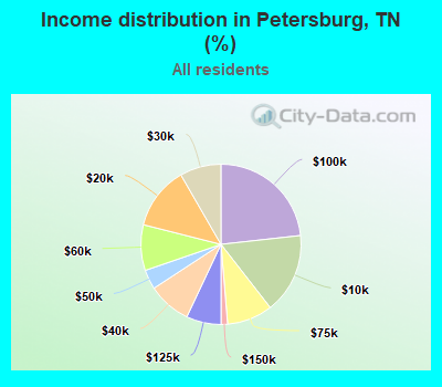 Income distribution in Petersburg, TN (%)