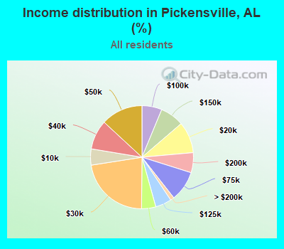 Income distribution in Pickensville, AL (%)