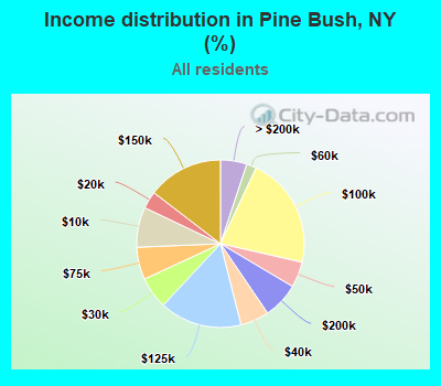 Income distribution in Pine Bush, NY (%)