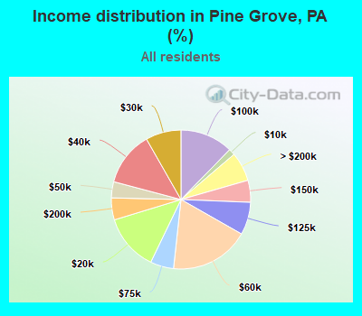 Income distribution in Pine Grove, PA (%)