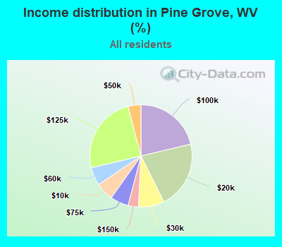 Income distribution in Pine Grove, WV (%)