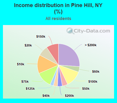 Income distribution in Pine Hill, NY (%)