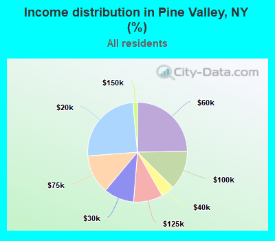 Income distribution in Pine Valley, NY (%)