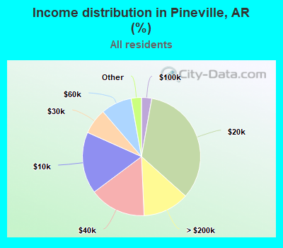 Income distribution in Pineville, AR (%)