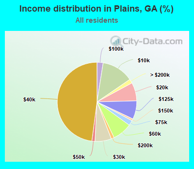 Income distribution in Plains, GA (%)