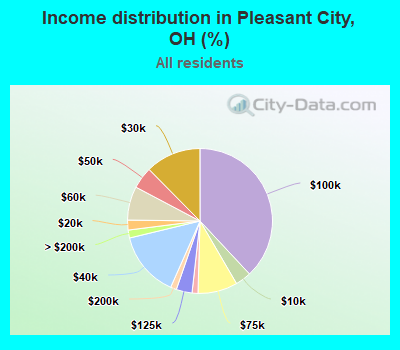 Income distribution in Pleasant City, OH (%)