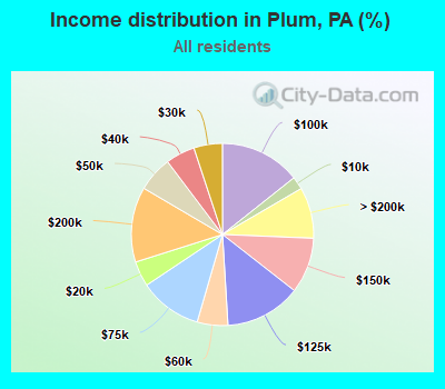 Income distribution in Plum, PA (%)