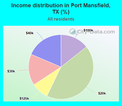 Income distribution in Port Mansfield, TX (%)