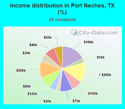 Income distribution in Port Neches, TX (%)