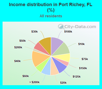 Income distribution in Port Richey, FL (%)