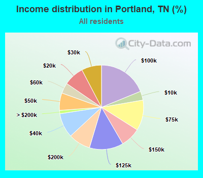 Income distribution in Portland, TN (%)