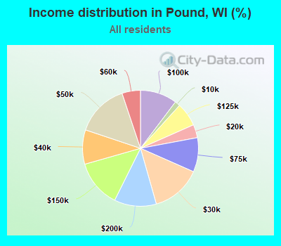 Income distribution in Pound, WI (%)