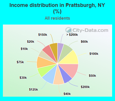 Income distribution in Prattsburgh, NY (%)