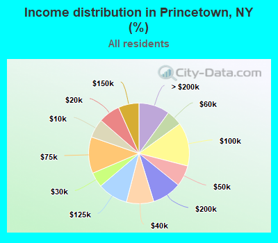 Income distribution in Princetown, NY (%)