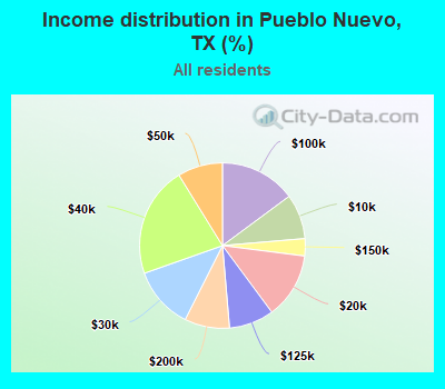 Income distribution in Pueblo Nuevo, TX (%)