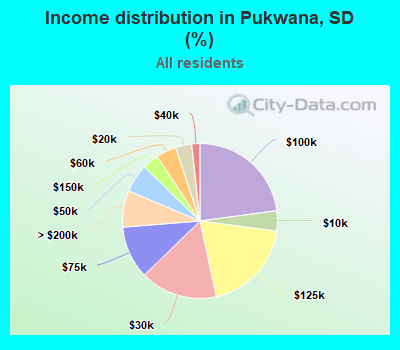 Income distribution in Pukwana, SD (%)