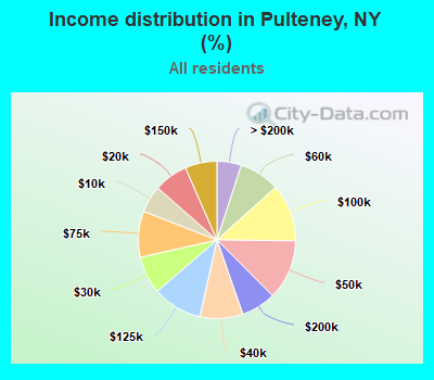 Income distribution in Pulteney, NY (%)