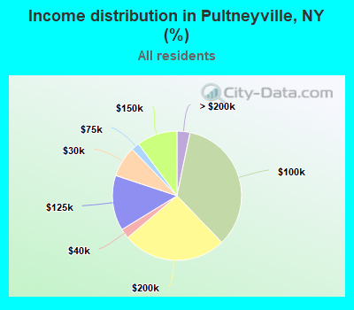 Income distribution in Pultneyville, NY (%)