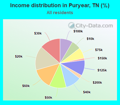 Income distribution in Puryear, TN (%)