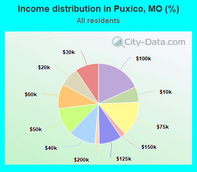 Income distribution in Puxico, MO (%)