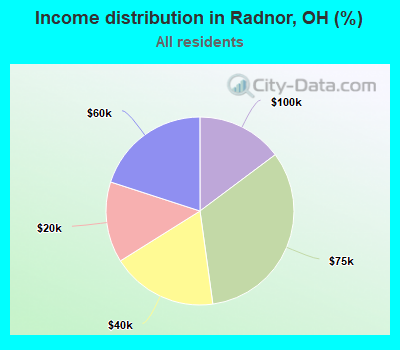 Income distribution in Radnor, OH (%)
