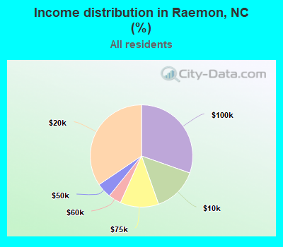 Income distribution in Raemon, NC (%)