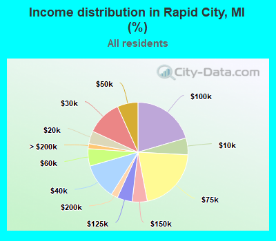 Income distribution in Rapid City, MI (%)