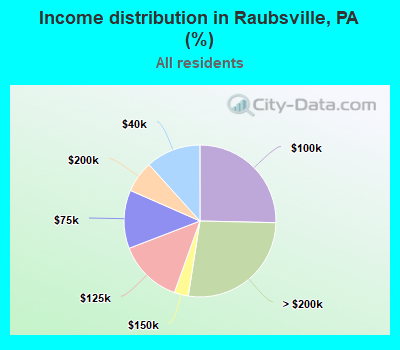Income distribution in Raubsville, PA (%)