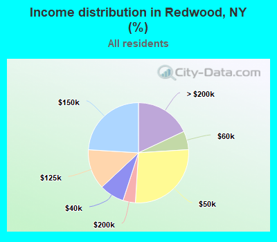 Income distribution in Redwood, NY (%)