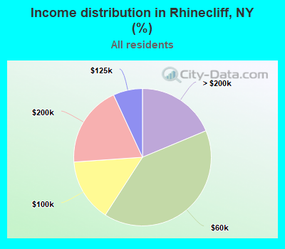 Income distribution in Rhinecliff, NY (%)