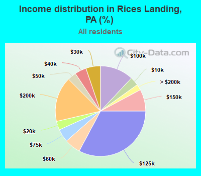 Income distribution in Rices Landing, PA (%)
