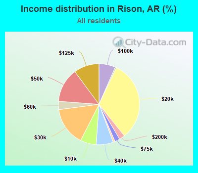 Income distribution in Rison, AR (%)