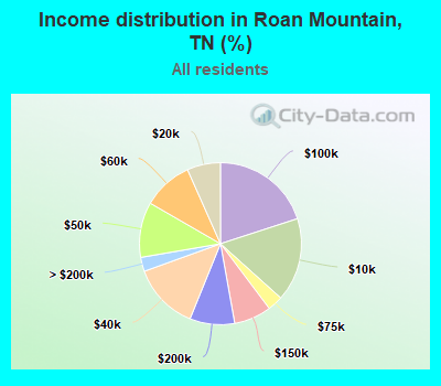 Income distribution in Roan Mountain, TN (%)