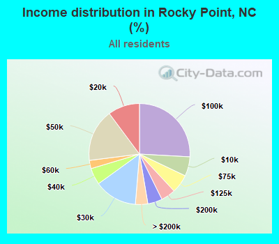 Income distribution in Rocky Point, NC (%)
