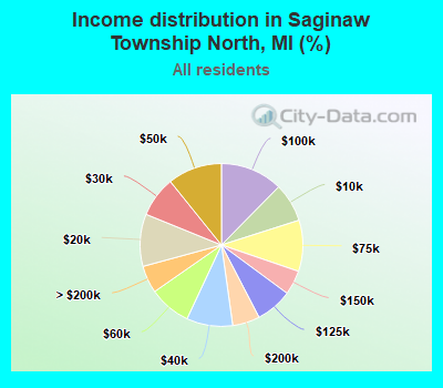 Income distribution in Saginaw Township North, MI (%)