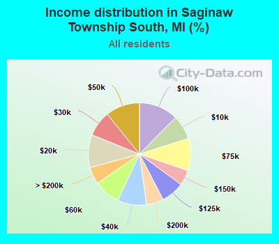 Income distribution in Saginaw Township South, MI (%)