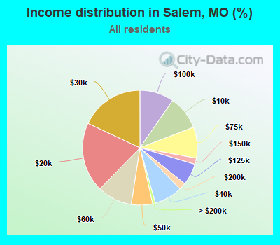 Income distribution in Salem, MO (%)