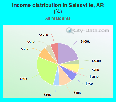Income distribution in Salesville, AR (%)