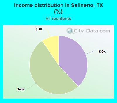 Income distribution in Salineno, TX (%)